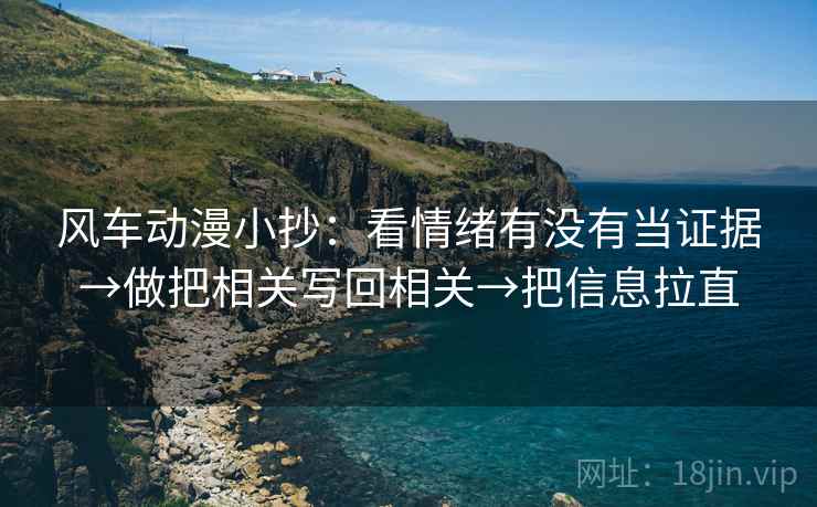 风车动漫小抄：看情绪有没有当证据→做把相关写回相关→把信息拉直