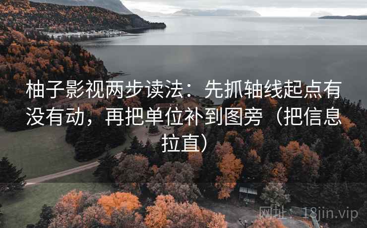 柚子影视两步读法：先抓轴线起点有没有动，再把单位补到图旁（把信息拉直）